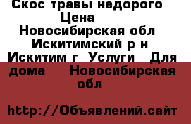 Скос травы недорого › Цена ­ 1 - Новосибирская обл., Искитимский р-н, Искитим г. Услуги » Для дома   . Новосибирская обл.